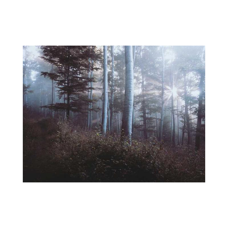 Gorgeous Bronze Bench fr-FR